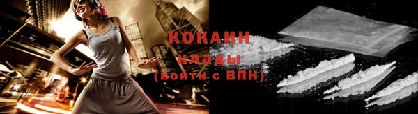 мдпв Богданович