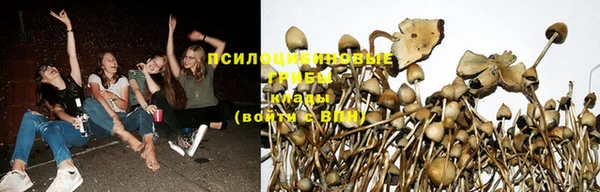 первитин Богородицк
