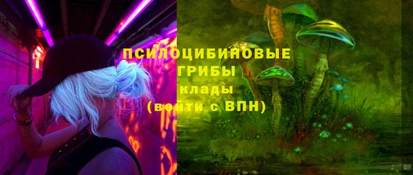 первитин Богородицк
