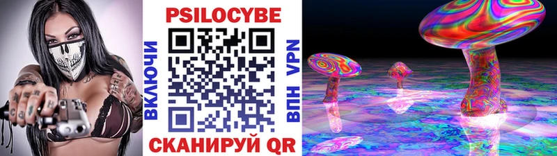 Галлюциногенные грибы Psilocybine cubensis  hydra зеркало  Ярославль 