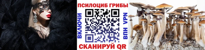 Галлюциногенные грибы Cubensis Ярославль